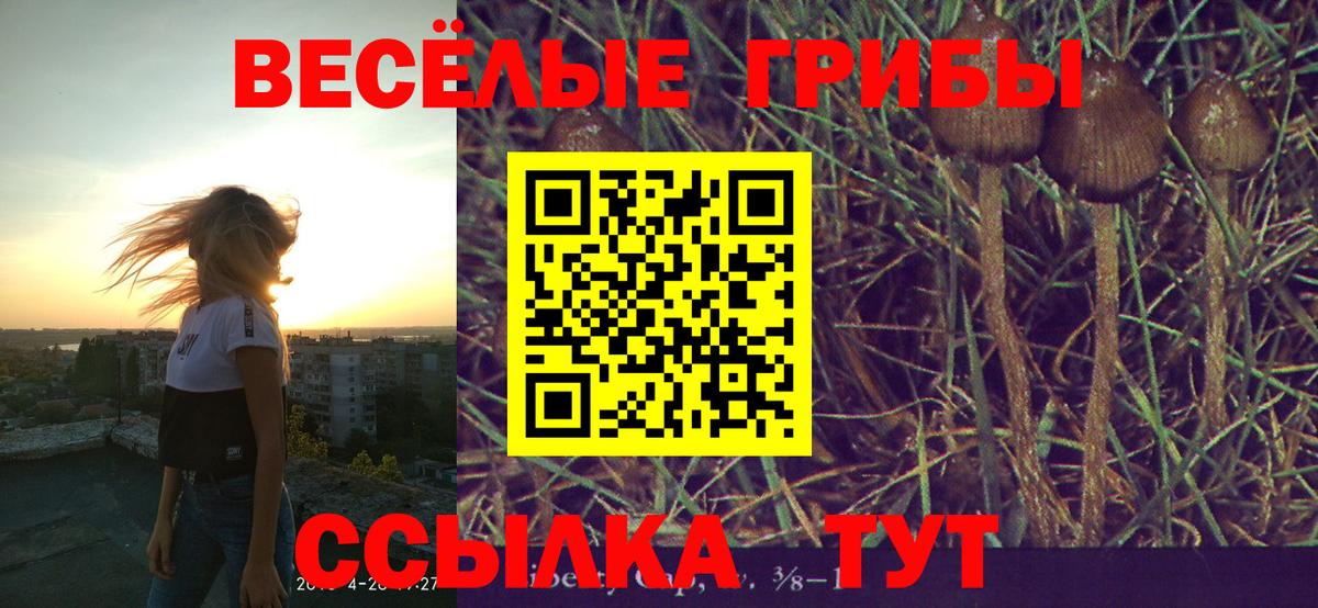 Псилоцибиновые грибы GOLDEN TEACHER Кемерово