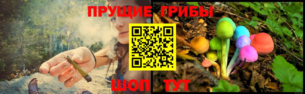 купить закладку  Галлюциногенные грибы Cubensis  Вход с VPN  Кемерово 